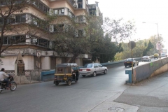 vinayak gore bridge2