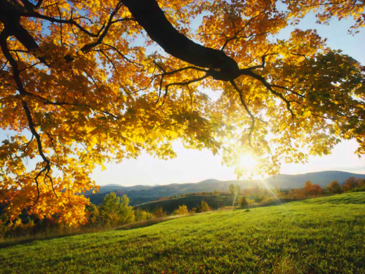 Autumn Health Care